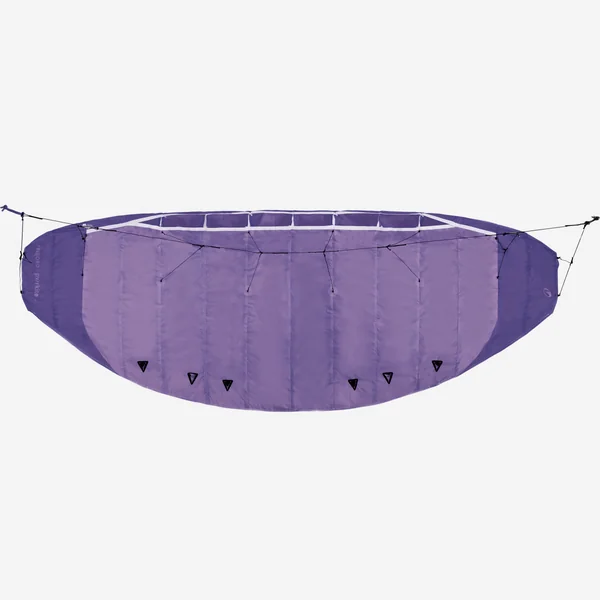 Aile de traction 1.9m2 avec barre, 100 violet