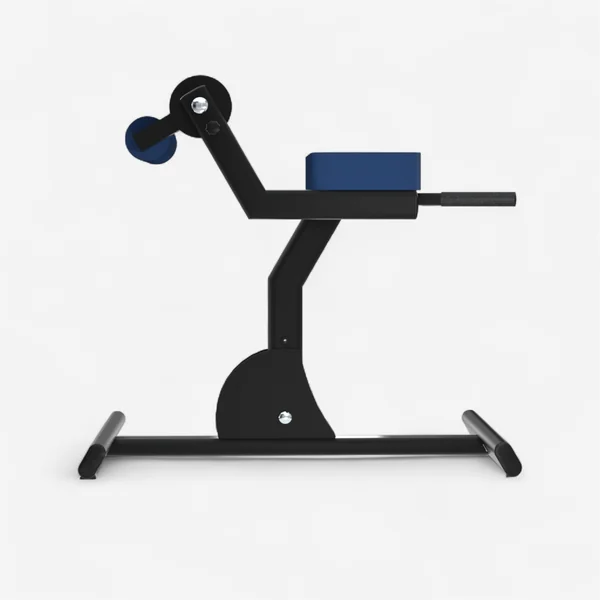 Banc de musculation Laroq - Banc à lombaires Noir