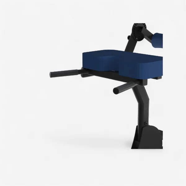 Banc de musculation Laroq - Banc à lombaires Noir