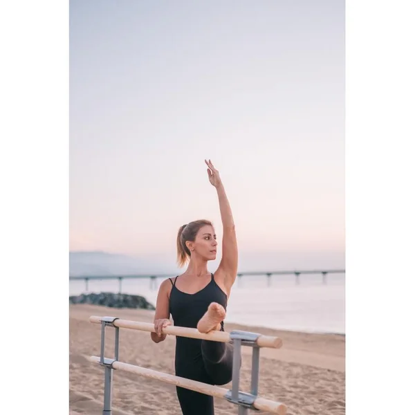 Barre De Danse Mobile Réglable Dinamica Ballet - Giselle Avec Roulettes 2M