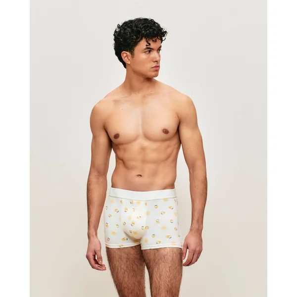 Boxer en coton motifs citrons
