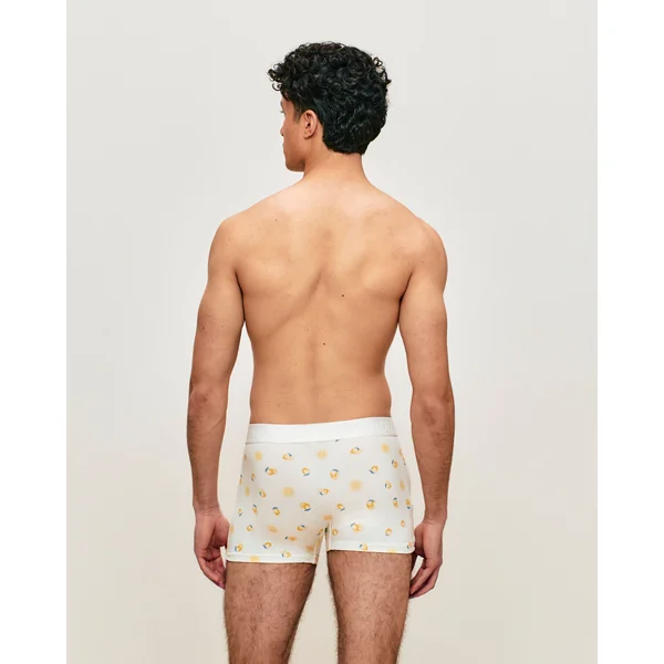 Boxer en coton motifs citrons