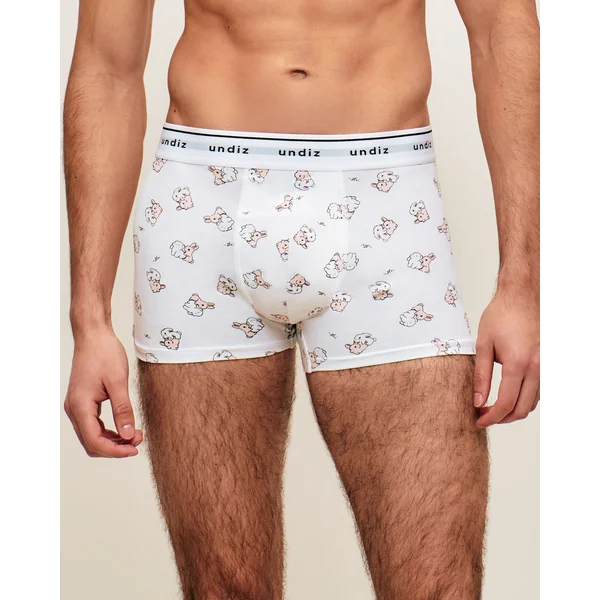 Boxer en coton motifs lapins