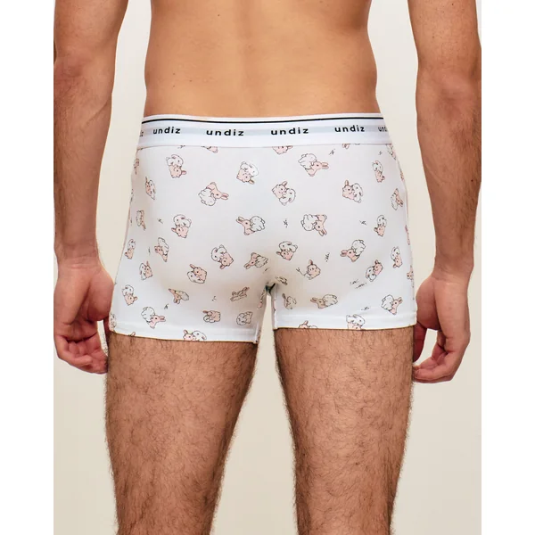Boxer en coton motifs lapins