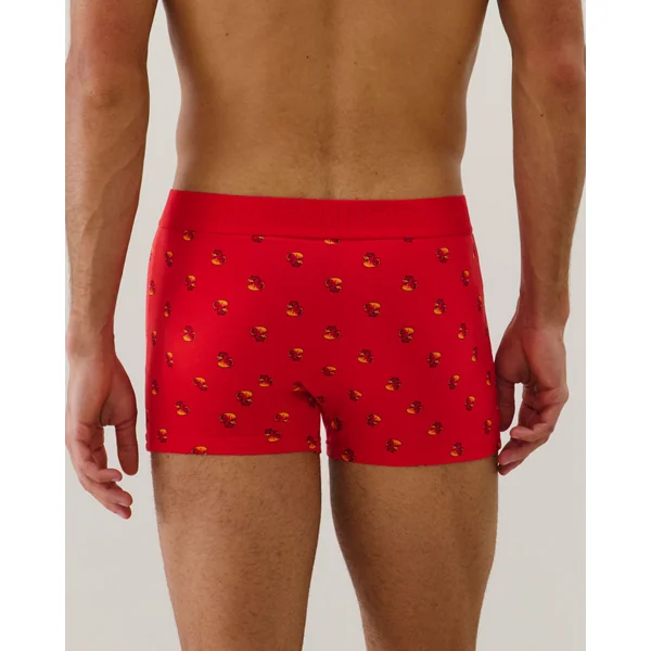 Boxer à motifs en coton