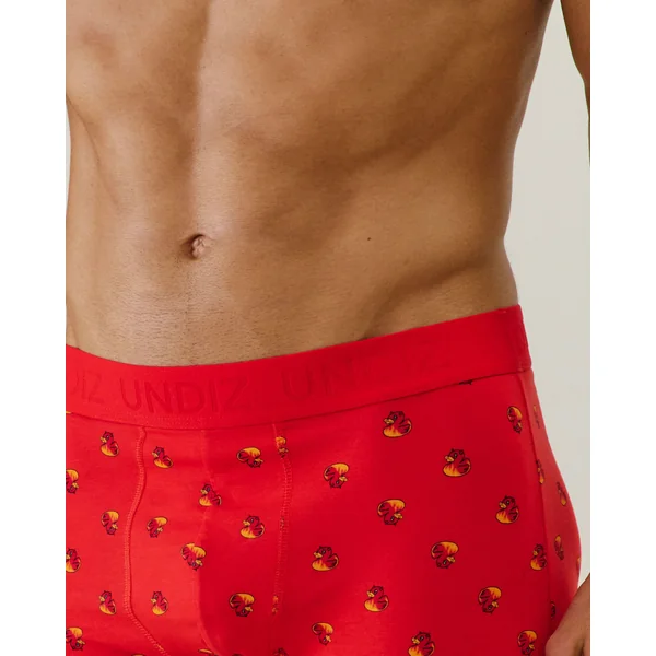 Boxer à motifs en coton