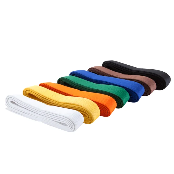 CEINTURE ARTS MARTIAUX PIQUÉE 2.80M BLANC