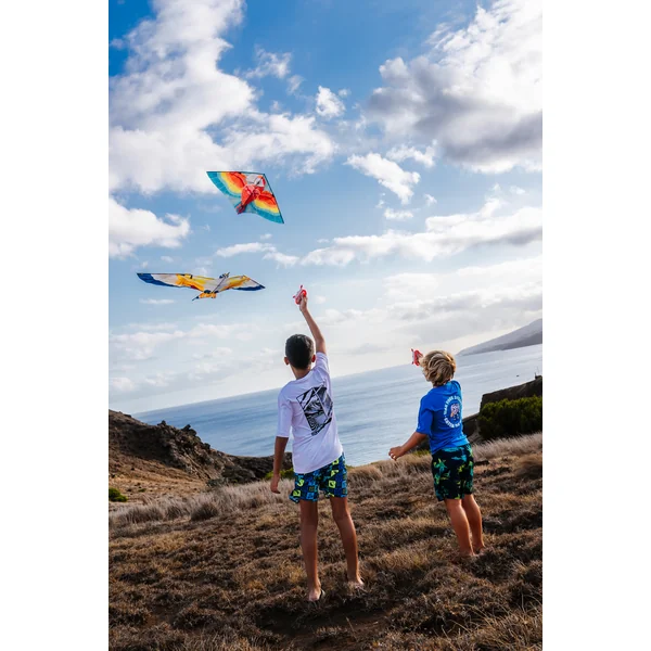 Cerf-volant statique Enfant - MFK150 Oiseau