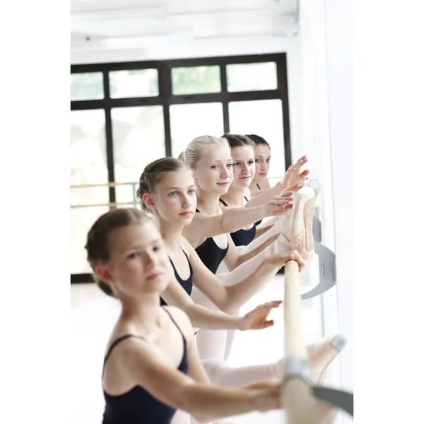 Console Murale Barre Danse Dinamica Ballet - Arabesque Double Argent