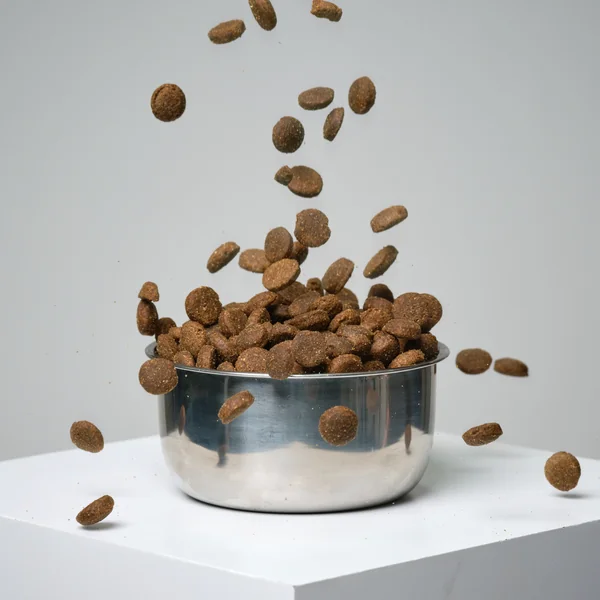 CROQUETTES CHIEN ADULT ESSENTIAL 12KG