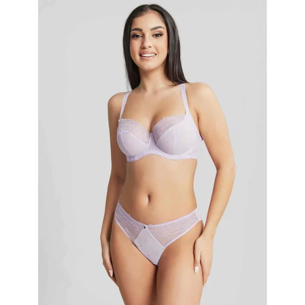 Culotte Classique - Violette Cleo by Panache Cleo by Panache
