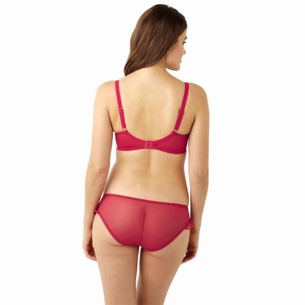 Culotte - Rose Cleo by Panache