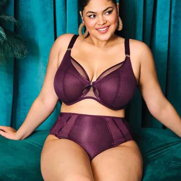 Culotte taille haute violette Elomi