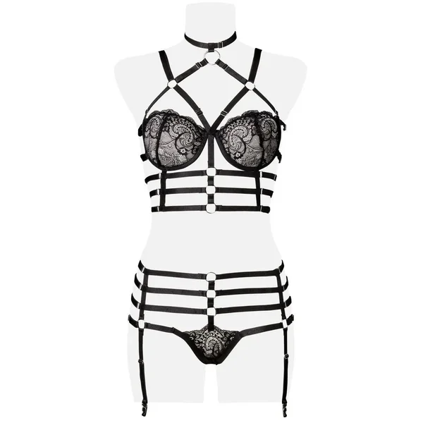 Ensemble harnais et dentelle