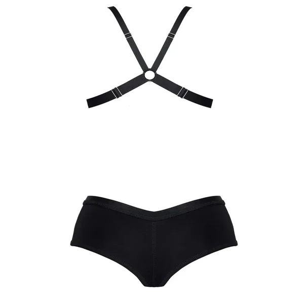 Ensemble LXLuna001