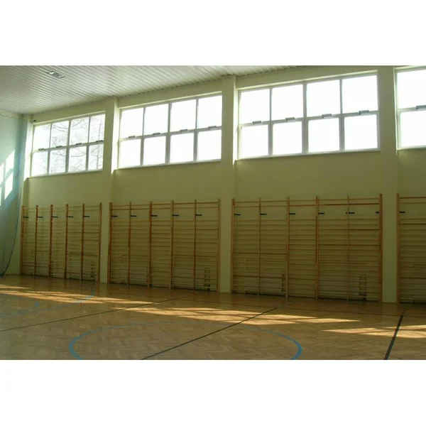 Espalier de gymnastique 250cm Gvg Sports - Double