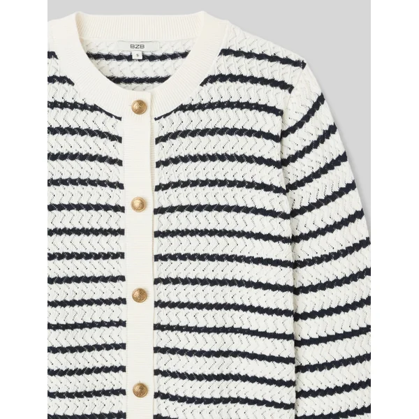 Gilet boutonné à rayures Bleu foncé