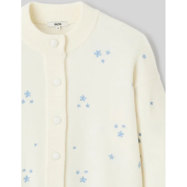 Gilet broderie fleurie Bleu clair