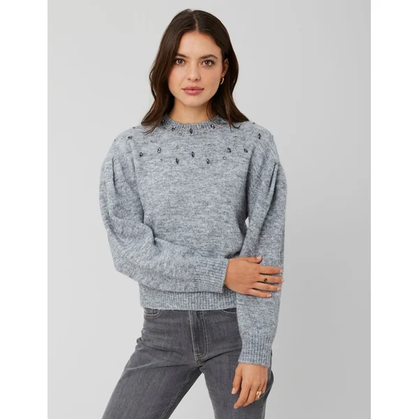 Pull col montant bijoux Gris