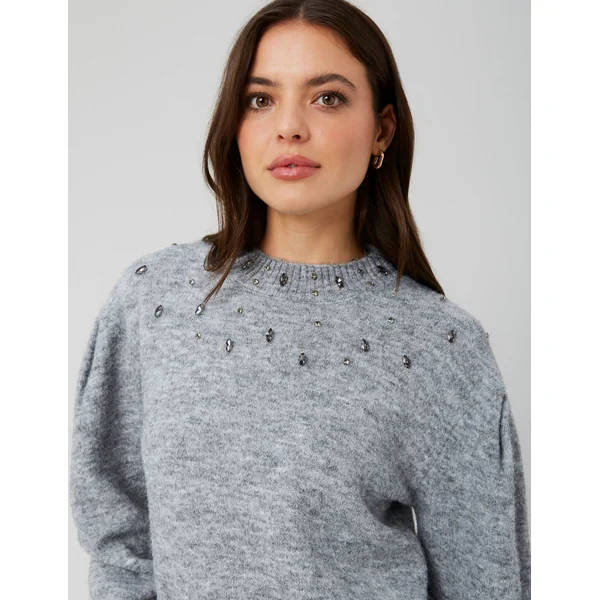 Pull col montant bijoux Gris