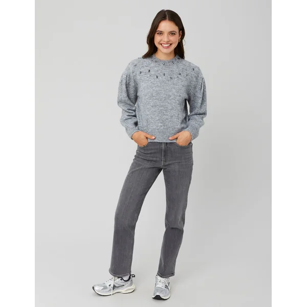 Pull col montant bijoux Gris