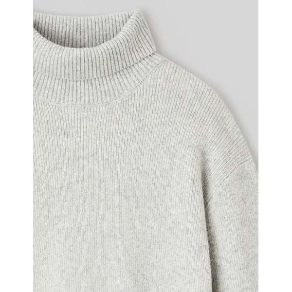 Pull col roulé Gris clair