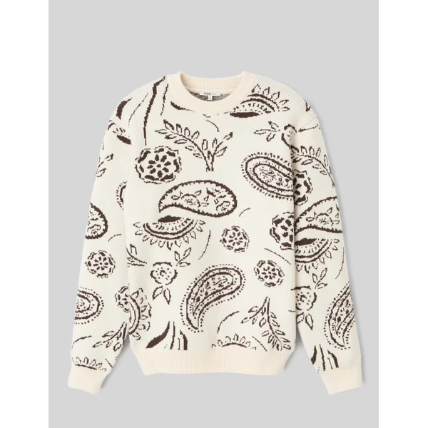 Pull jacquard Multicolore