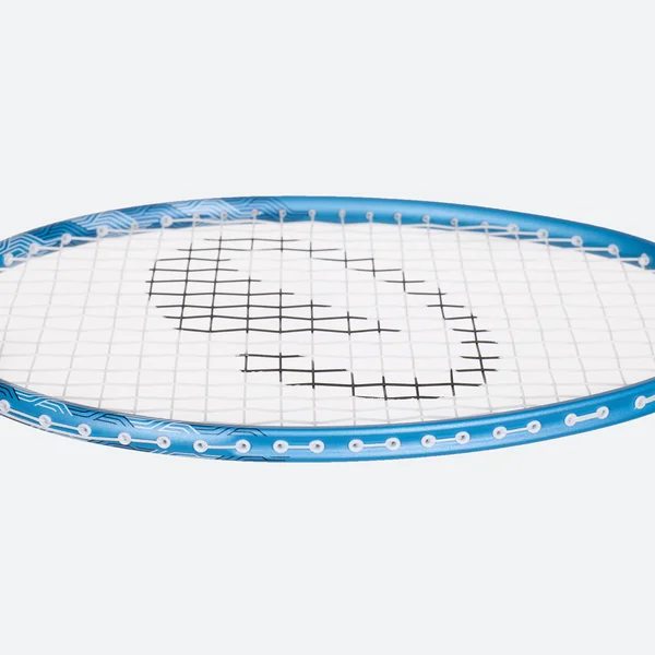 Raquette de Badminton Adulte BR Sensation 190 - Bleu