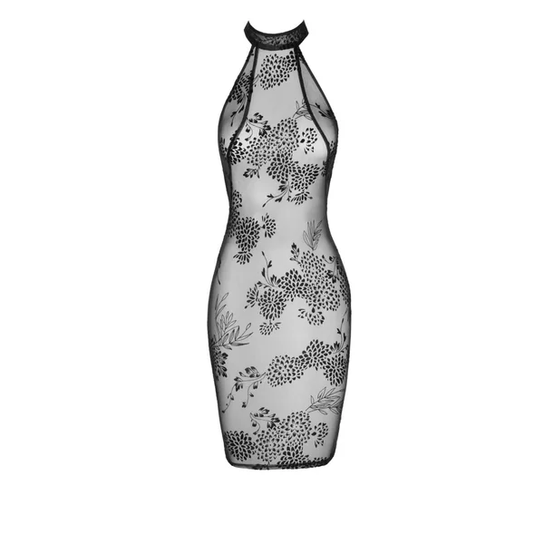 Robe transparente dos-nu