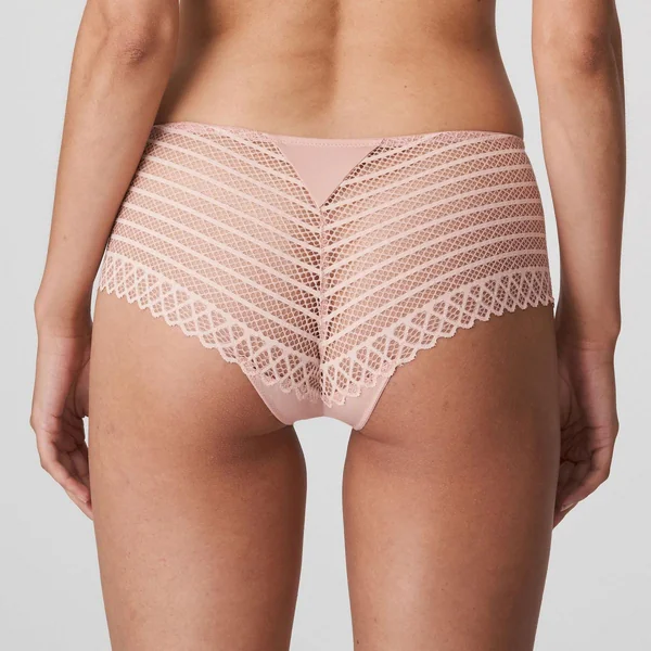 Shorty - Rose Prima Donna