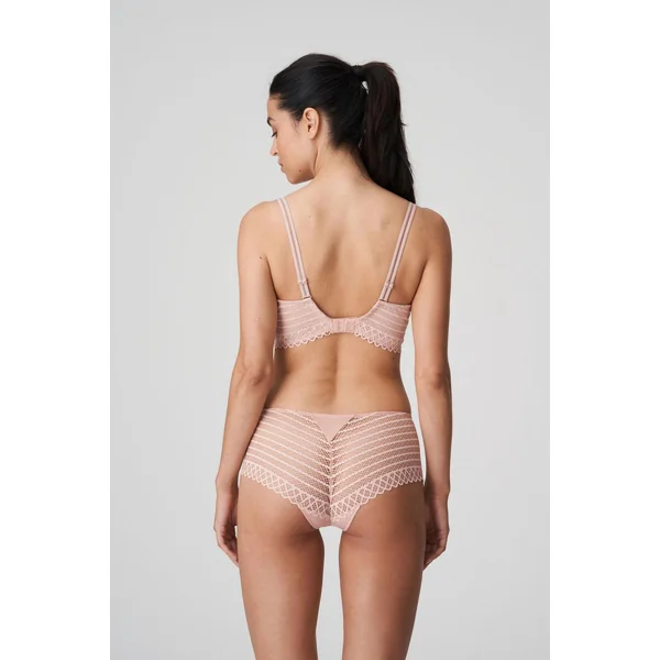 Shorty - Rose Prima Donna