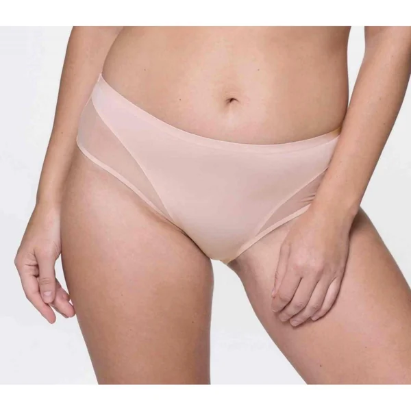Shorty - Rose SHEA Dorina