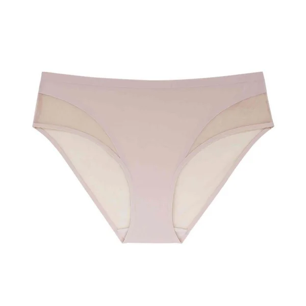 Shorty - Rose SHEA Dorina