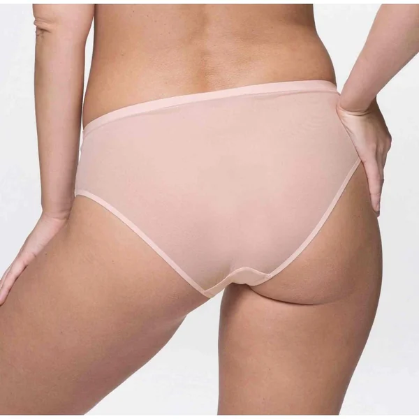 Shorty - Rose SHEA Dorina
