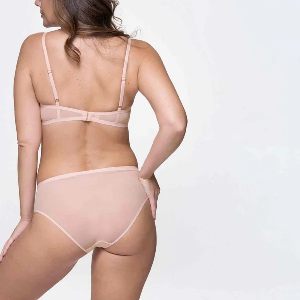 Shorty - Rose SHEA Dorina