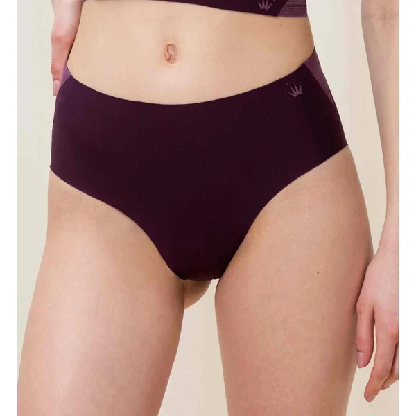 Shorty - Violet Triumph Triumph