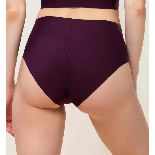 Shorty - Violet Triumph Triumph
