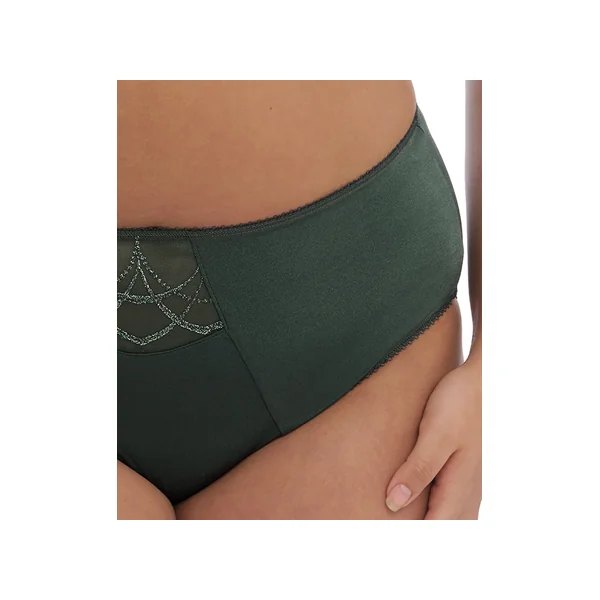 Slip taille haute CATE 4036 PINEDE