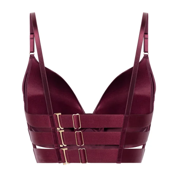 Soutien-gorge à armatures longline push-up préformé Colette - Violet