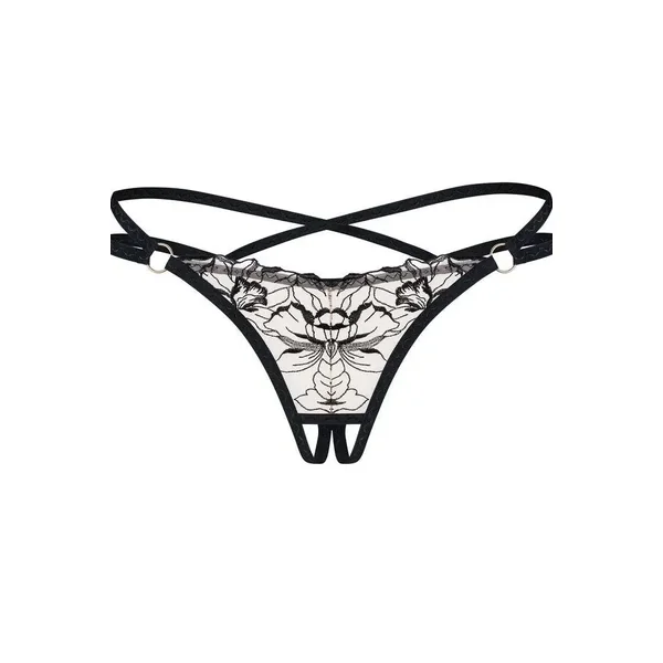 String ouvert Vila Blanes