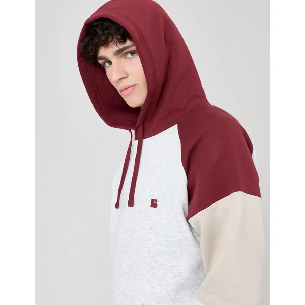 Sweat colorblock à capuche Gris clair