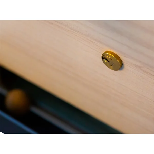 Table baby-foot René Pierre - Pro Monnayeur