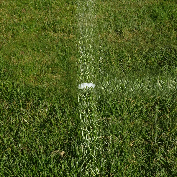 Traceur de lignes terrain Sportifrance - Kit de tracage 25 Plifix® Blanc