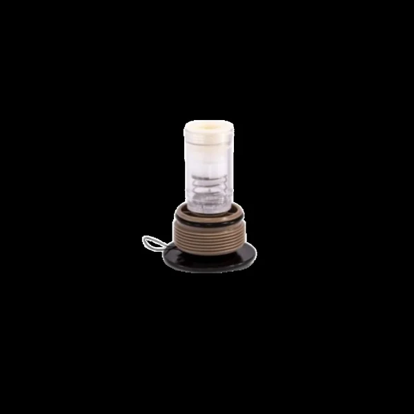 Valve de dépressurisation pour spas