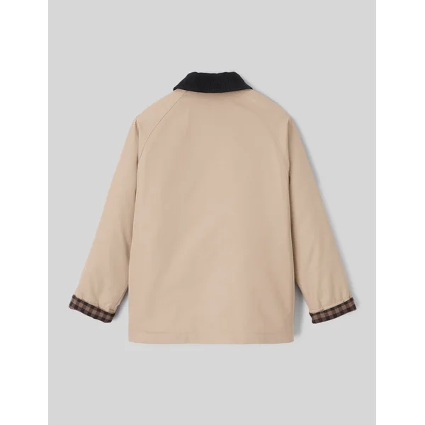 Veste avec col velours côtelé brown